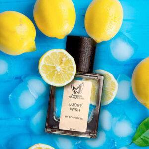 Парфюм По Мотивам Lucky Wish By Anna Sui