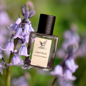 Парфюм По Мотивам Light Blue By Dolce & Gabbana